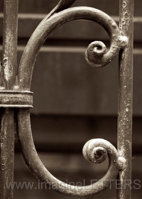 Wall_Art_Alphabet_Photography_Art_ 329.jpg